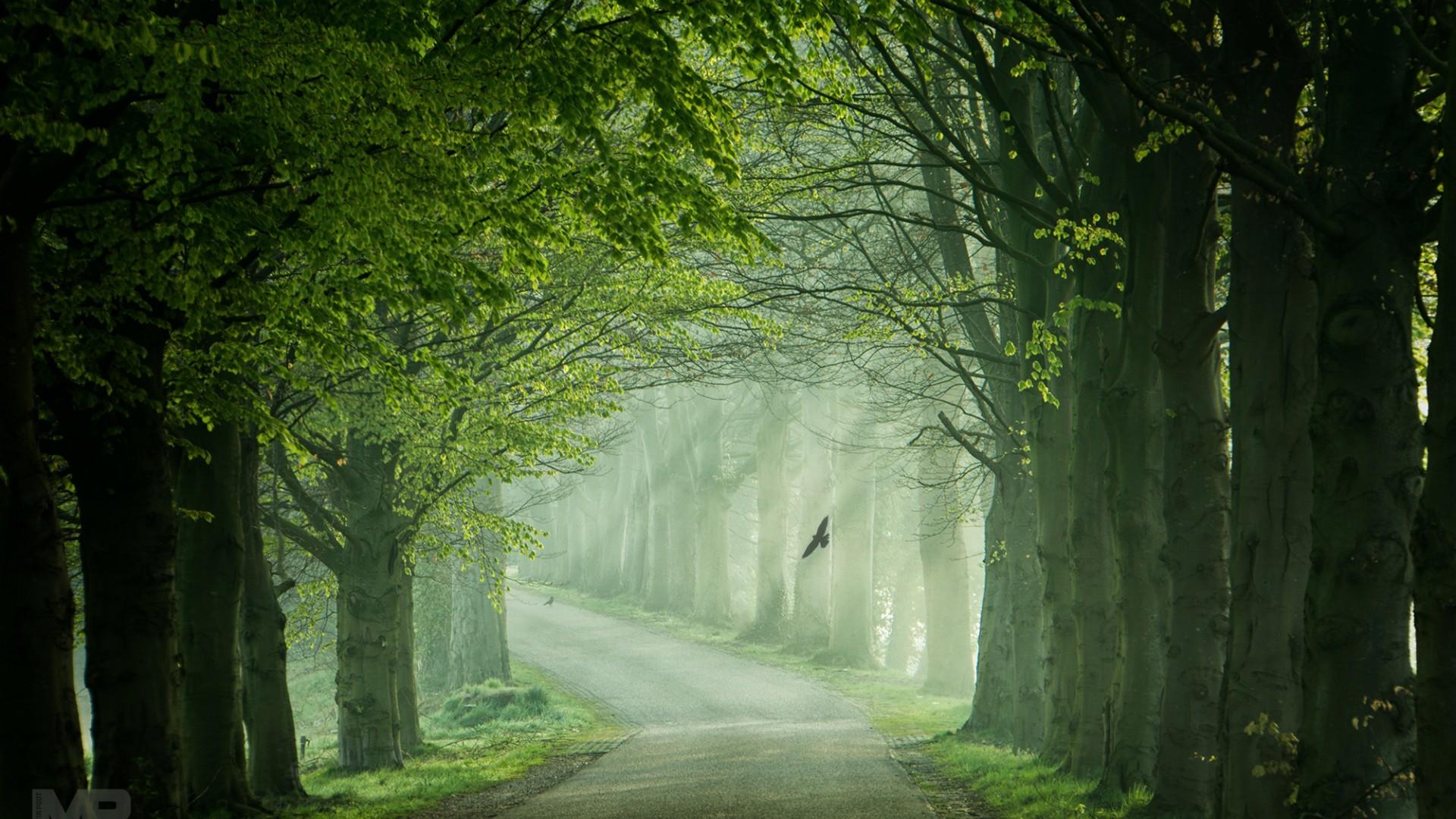 �к������ֺ�Ԣ���������Щ���� ������ǰ���к���2021����