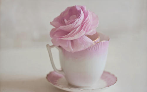 ����Ů��Ư���к��������֣������ĸ���Ů�����ִ�ȫ