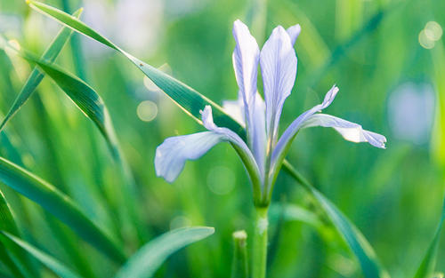 ����������Ԣ��ָ����ʲô�������ֵ�Ů�����ִ�ȫ