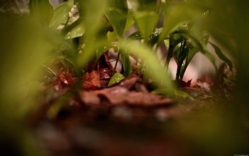 �к������Ľ�ʲô�����������к������к���������