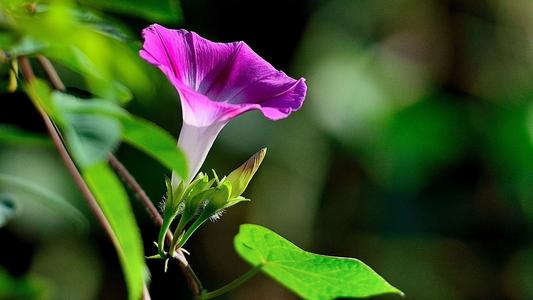 ������һ�޶����к����֣������к����ִ�ȫ