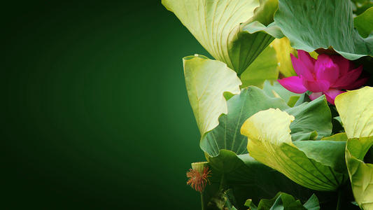 ���޵��к���Ů������������Щ�����ձ���ȡ����ȫ