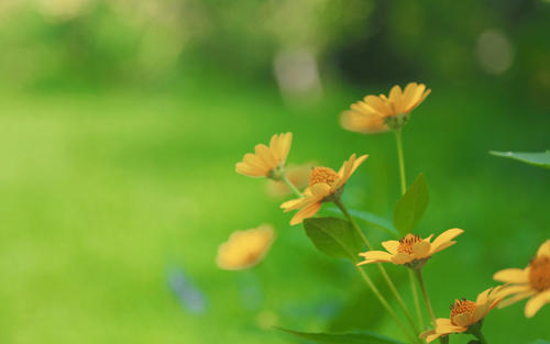 ���ص�Ů����ʲô���ֺã�����Ů�����⾳������