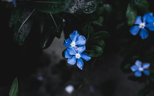 ���ص�Ů����ʲô���ֺã�����Ů�����⾳������