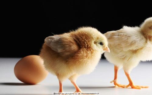 ������ȡ���������ֺ�ע����������Щ��