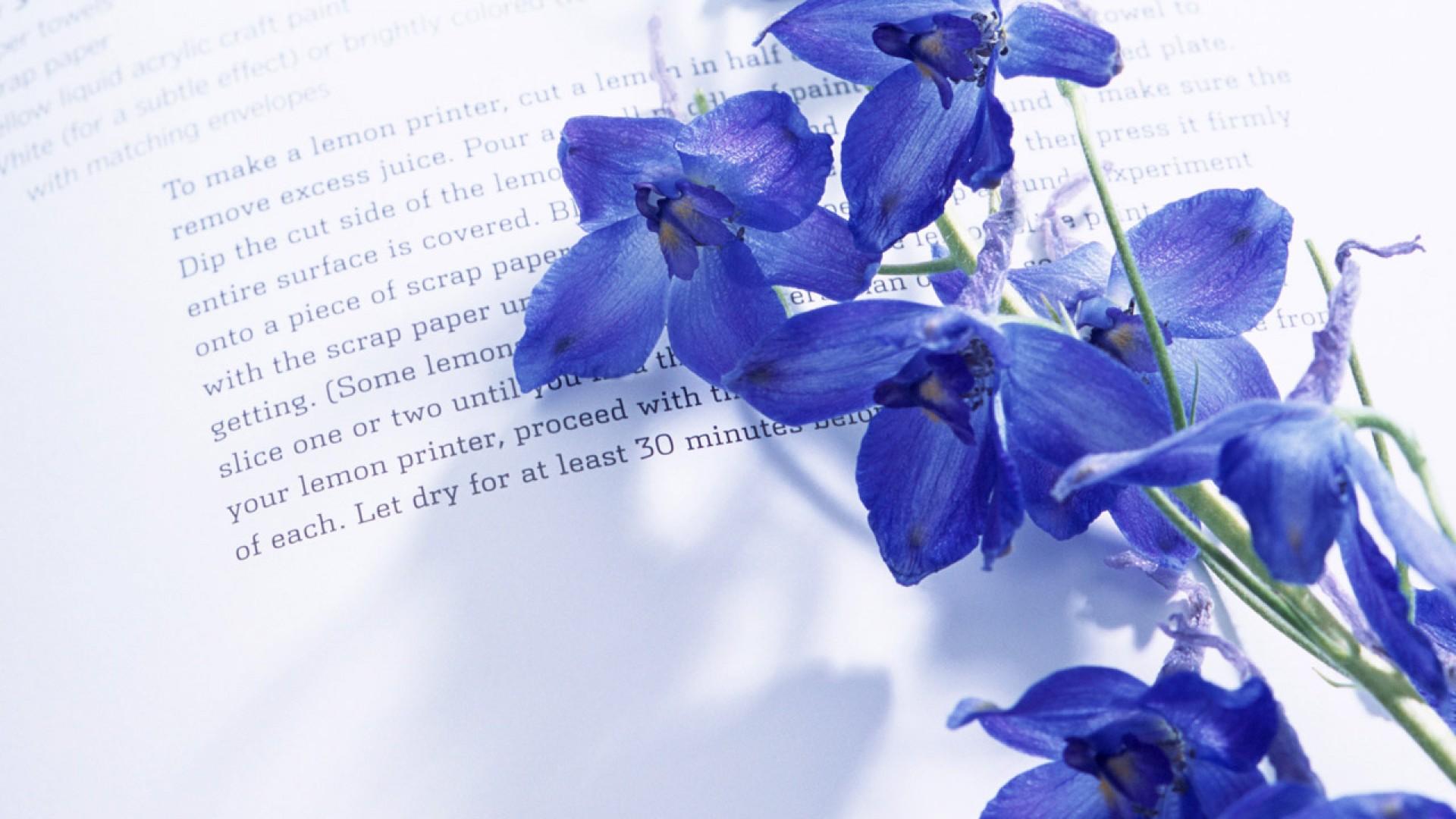 �������к������������Ԣ�� �����к����ִ�ȫ