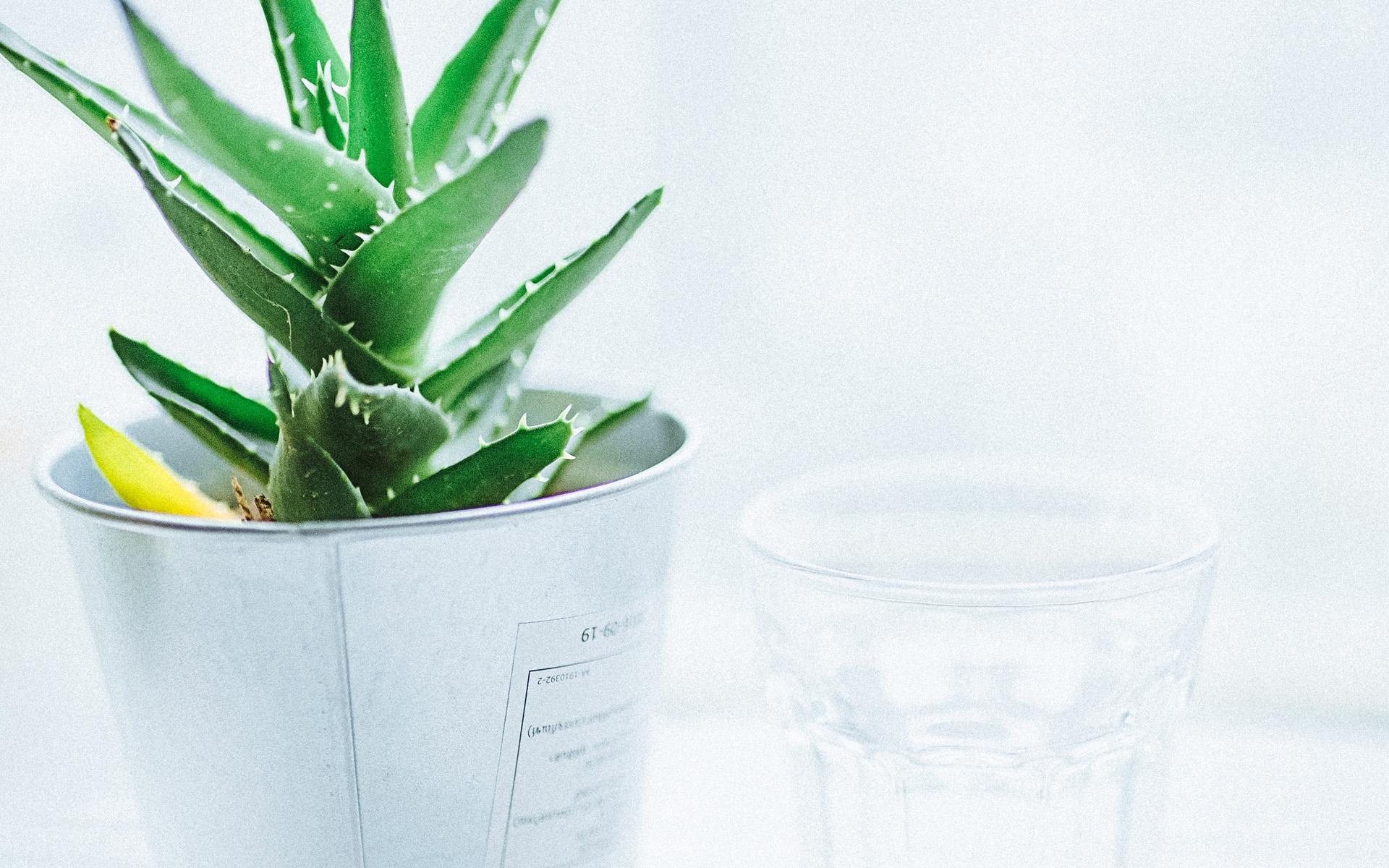 �����к�ȡ����ӱ���� ���պ�������ը���к����ִ�ȫ