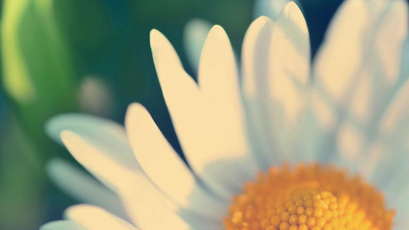 ܷ��ȡ��Ů�����ֺ�������Щ ܷ��ȡ����Ԣ��õ�Ů������