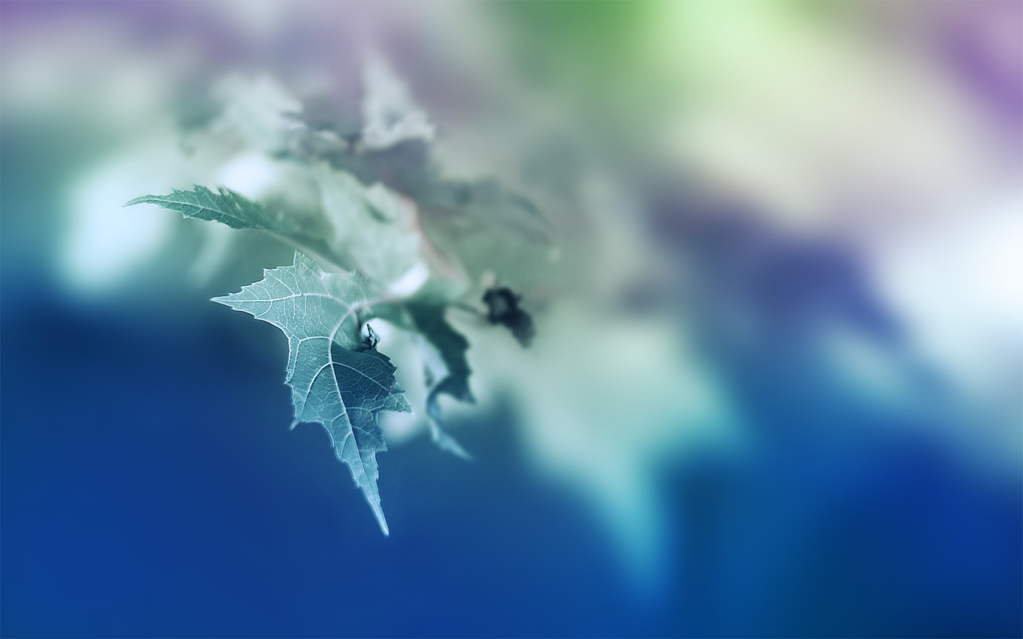 ��ʫ����Ψ����Ů������ ����ʫ���Ů�����ִ�ȫ