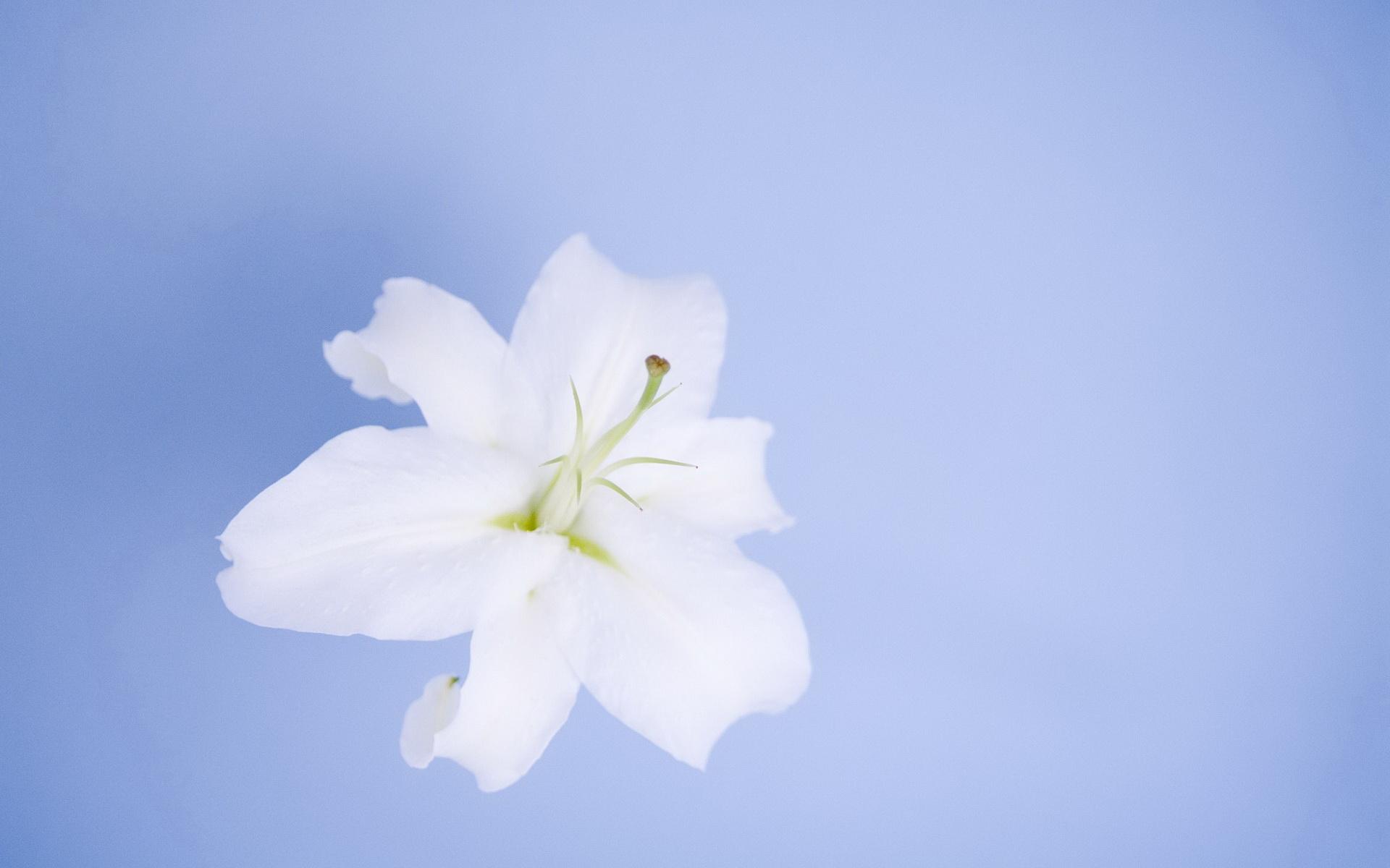 �к������к����ĵ��������� �к����ش����ĵ��ִ�ȫ