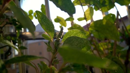 �������׵�����Ů�����֣�������100�ֵ�Ů������	