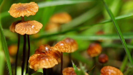 ���ո߹���������ʵ����֣����պ�������ը���к�����