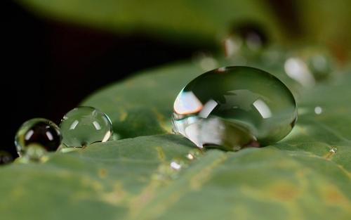 �к���ʯȡʲô���ֺã���ʯԢ��õ��к�����