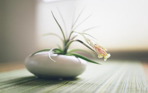 �б�����������������Щ ţ���б���������ȫ��