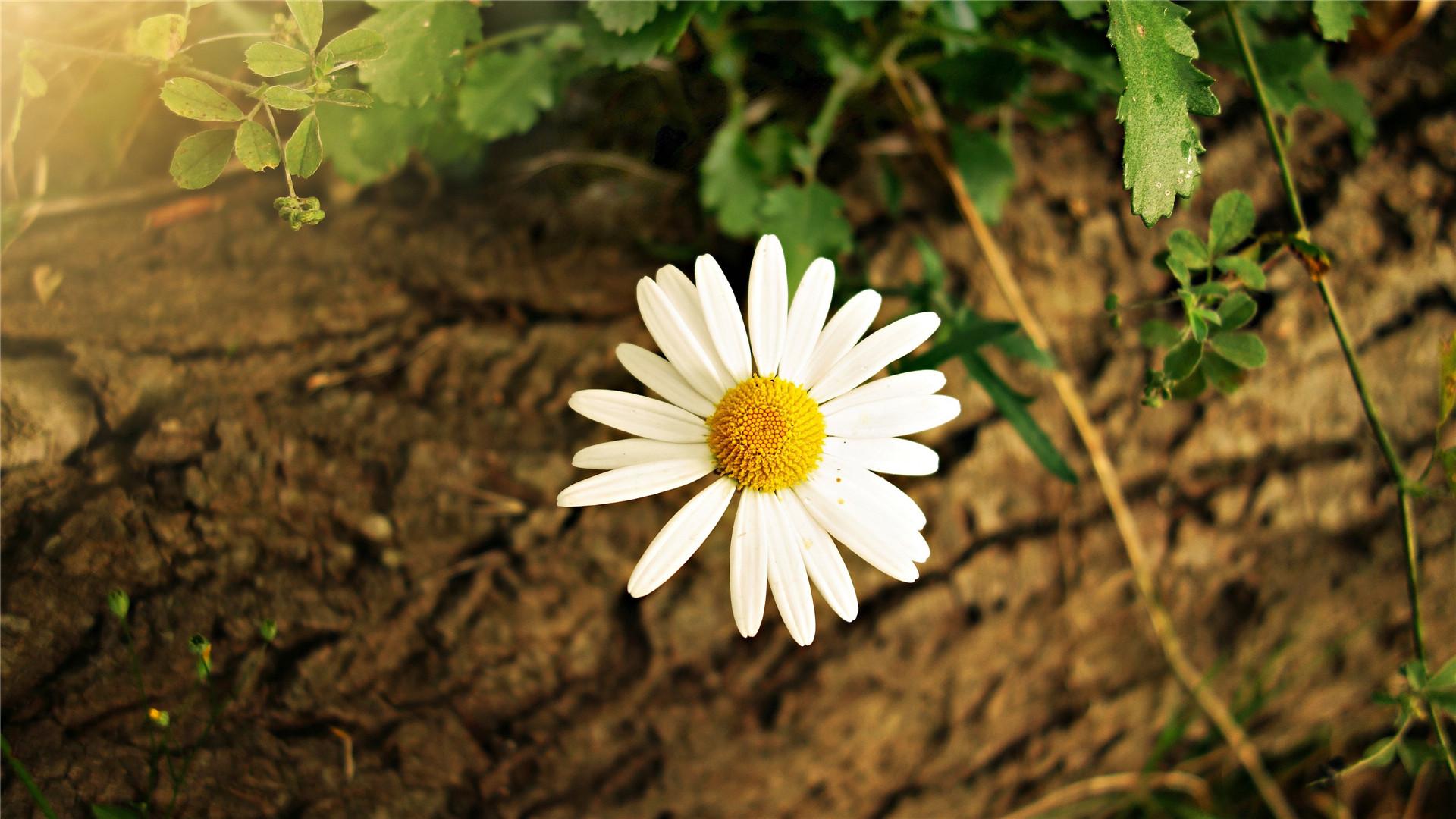 ȫ���պ��������Ů������ �պ�Ů��100�����ִ�ȫ