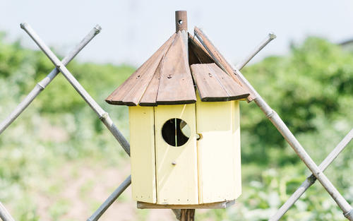 �������������ĺ�����ʲô������ֵ�Ů�����ִ�ȫ