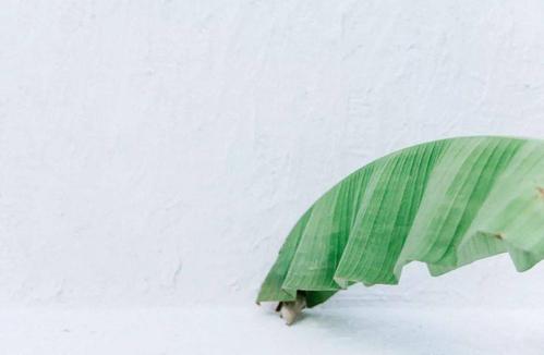 ����Ů�����ֺ��������֣�100������Ů�����ִ�ȫ	