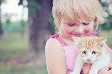 a��ͷ��Ӣ����Ů������ a��ͷӢ����ȡ����������Щ��