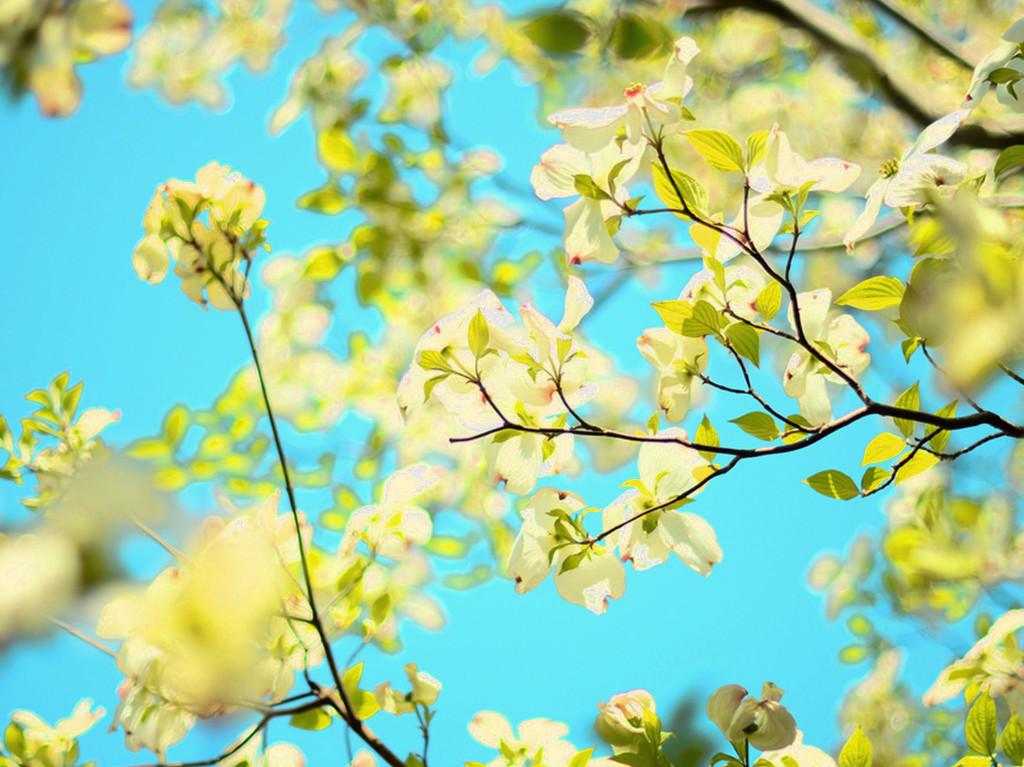 ����Ů��Ư���к��������� �������100�ֺ���Ů��