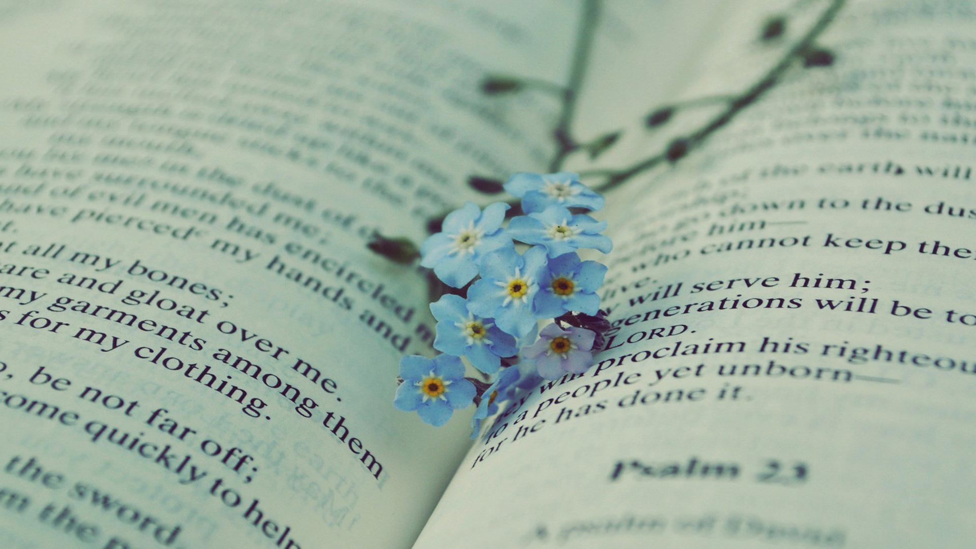 �����к�ȡ������һ�������� �����к�����100�������Ƽ�