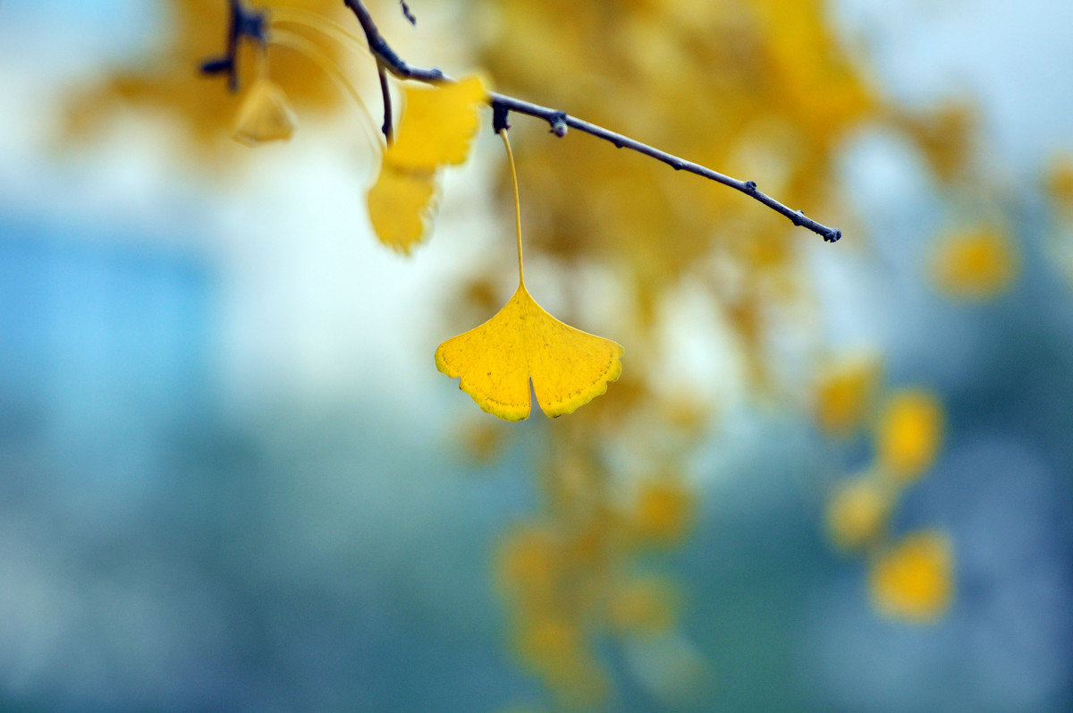 �������������Ԣ����� �������к��������ִ�ȫ