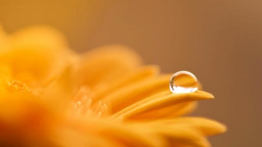 ����Ů��Ư���к��������֣�����Ů�������������