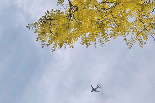 ʯ���к������������ִ����ͣ���ʯ���к����ִ�ȫ���