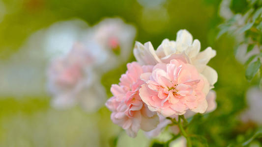 ʯ���к������������ִ����ͣ���ʯ���к����ִ�ȫ���