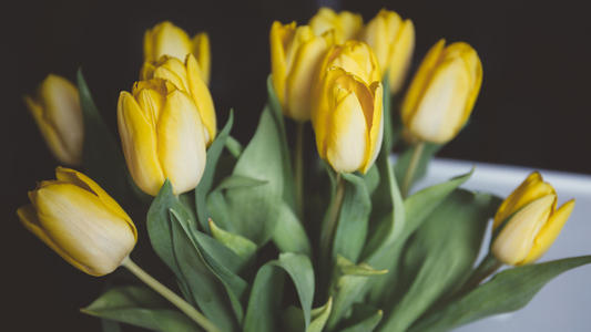 ���ռ��ֺ������к����֣������к�����100��