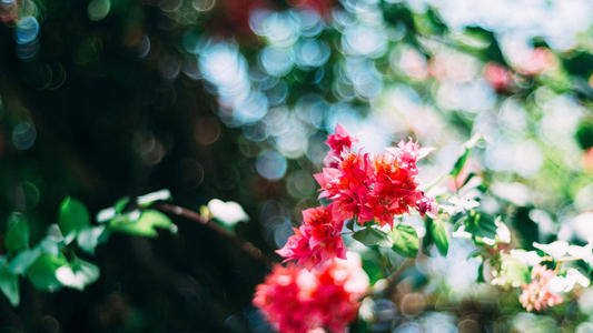 ����Ů�����غ������ִ����ͣ�����Ů��Ư���к���������