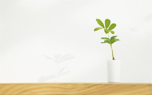 ţ���б������������� ţ���б������ִ�ȫ2021��Ԣ��