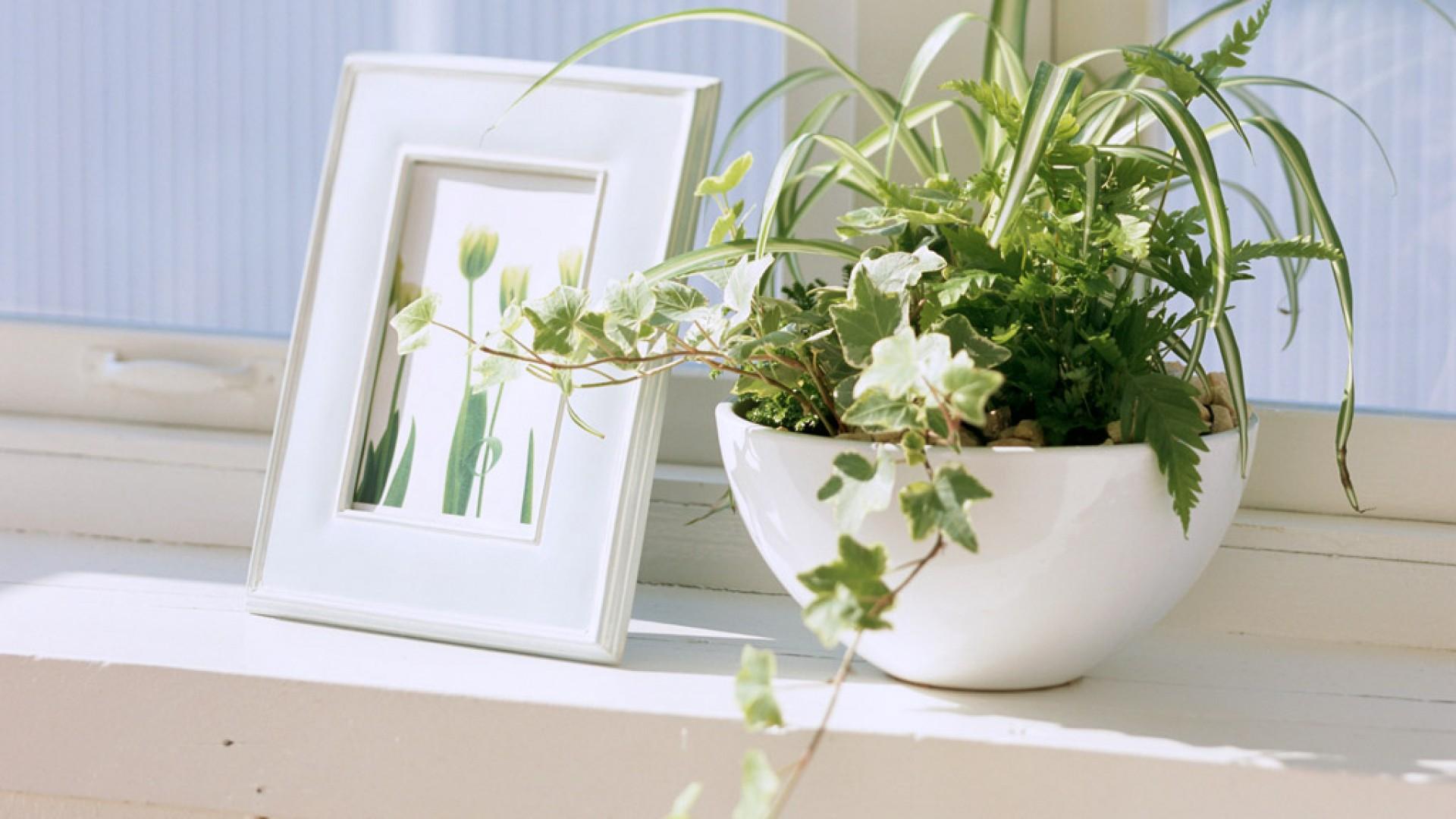 ��õ��к�������Ҧ Ҧ�ն�����ӱ���к�����