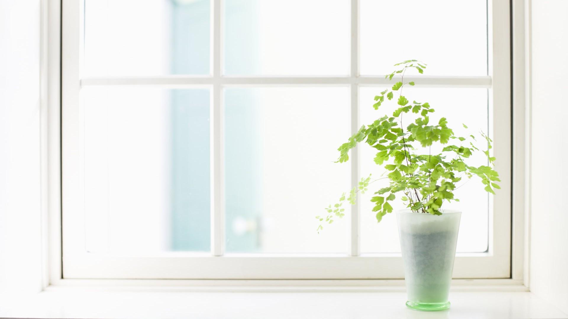 �ոߵĴ��������к���������Щ �ոߵ��к�������100�ֵ�������