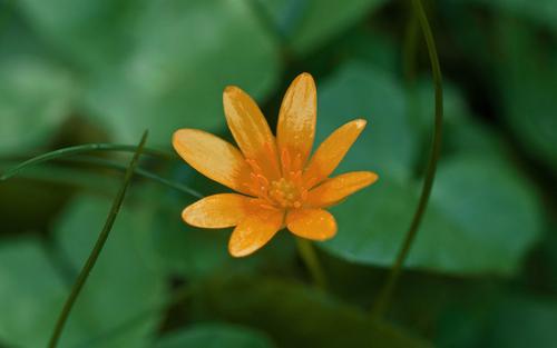 ����ȡ����Ԣ�������ʲô�ֺ����������ֵ�Ů������