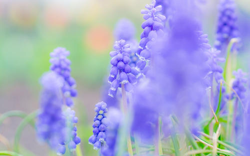 �����б������к����ּ����ͣ�Ԣ����־�����к�����