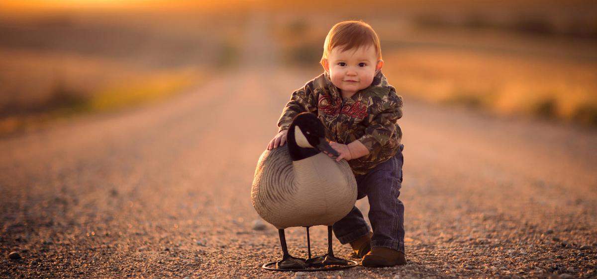 ʫ�������к���ţ ţ���к���ô��ʫ��ȡ�����Ĺŷ�����