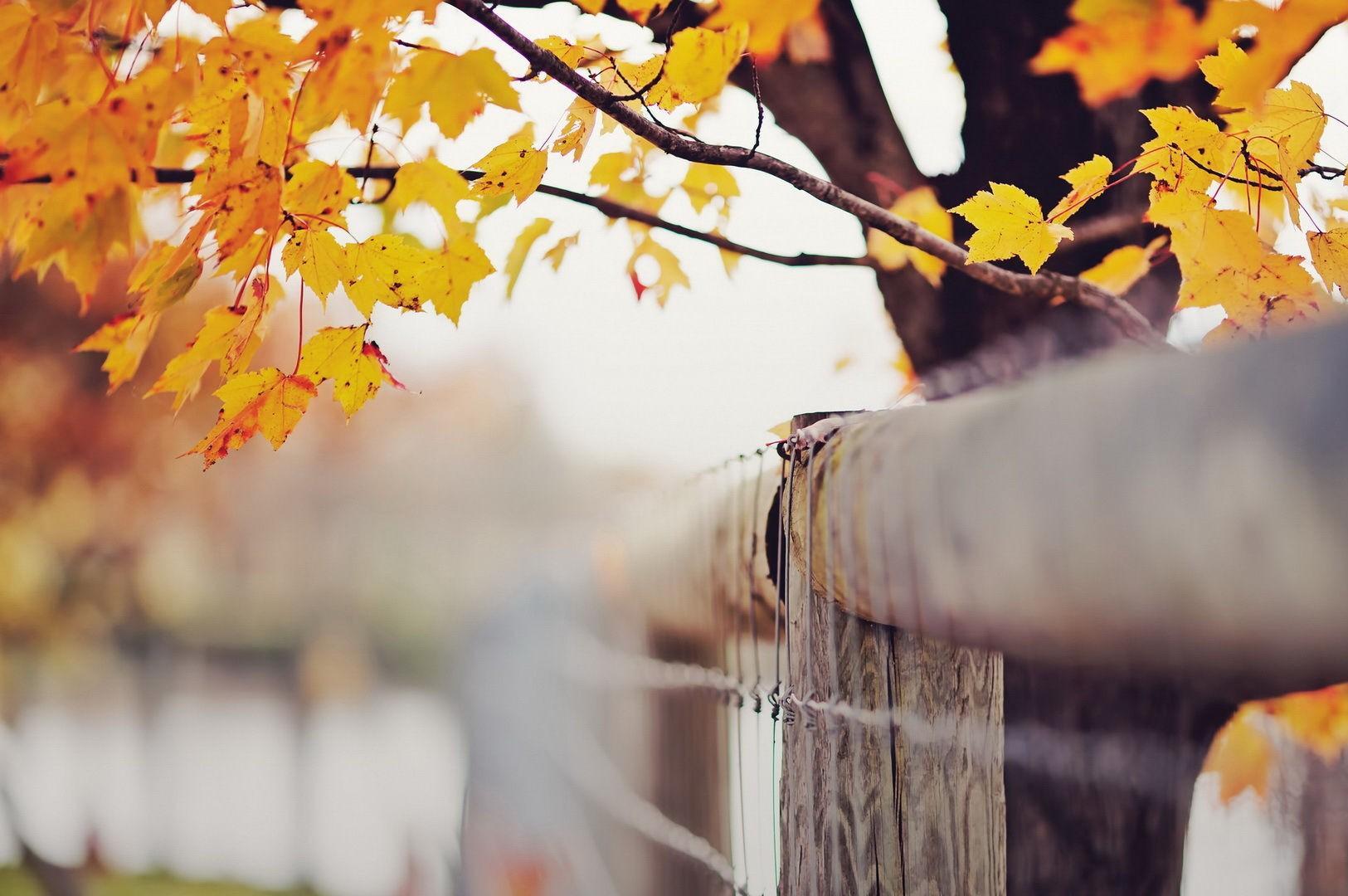 �պε�Ů������ȡʲô�� ����Ů����ȡ��������ִ�ȫ