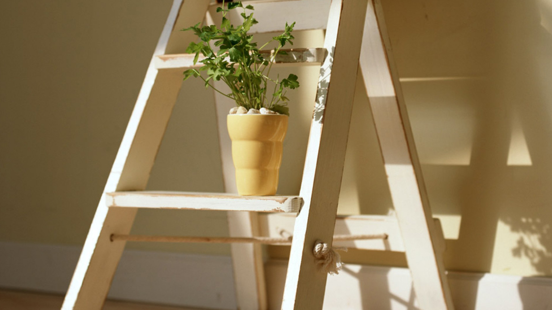 ����ȡ������ʲô����Ԣ����� ����ȡ��Ů�����ִ�ȫ