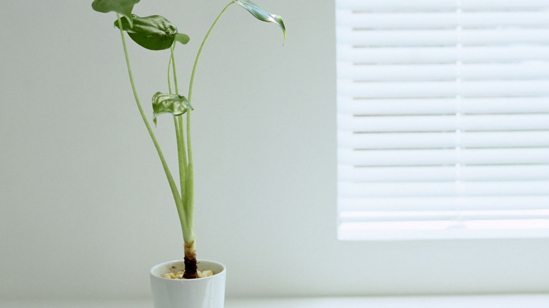 ������������Ů������ ����Ů�����������������ں�