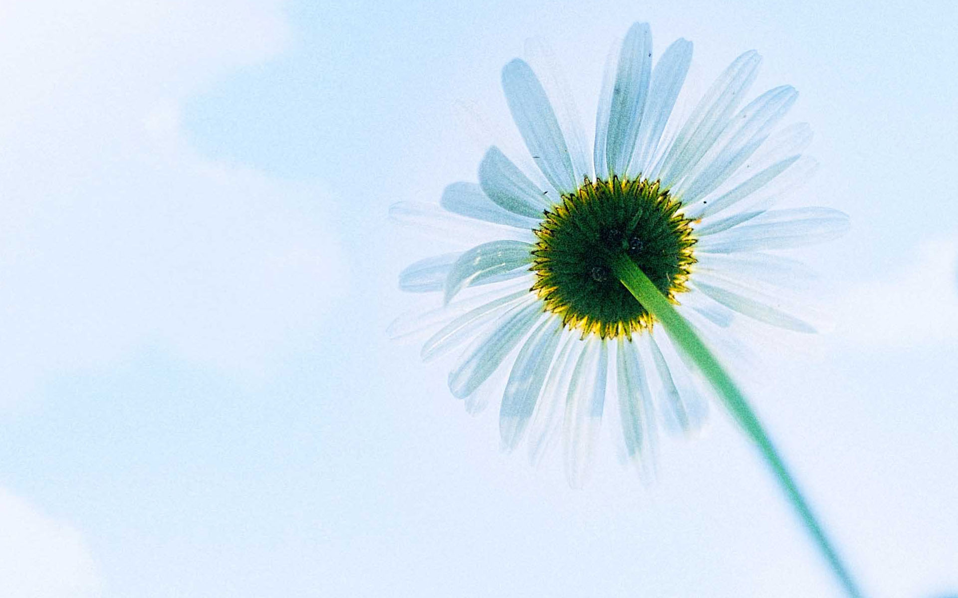 �����к����ּ򵥴����� �����б���������߷�