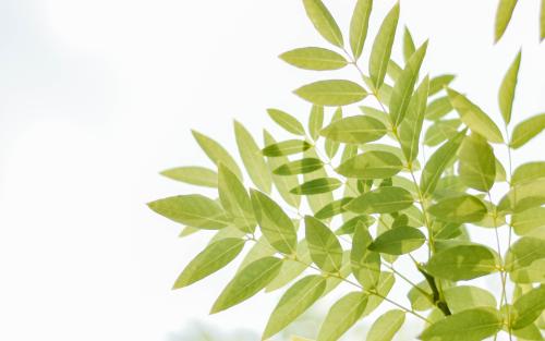 �����ָ߼����к����֣��Ƚ����ں����������ִ�ȫ