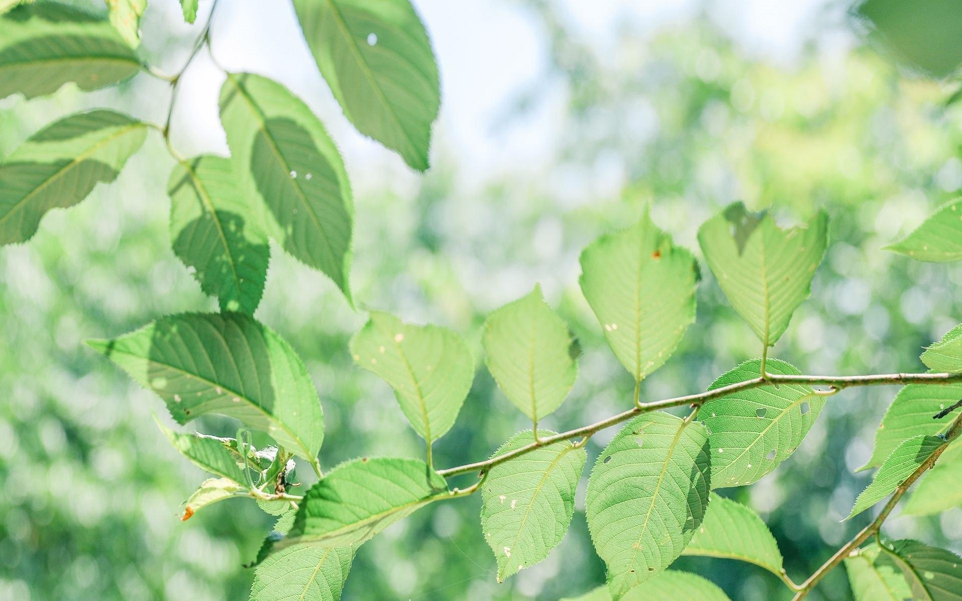 ������Ů�����ֺ��������ʵ� ������Ů�����ִ�ȫ������