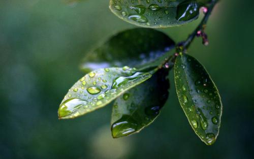 ���ȡ���ĺ�����ʲô��˼������ֵ��к����ִ�ȫ