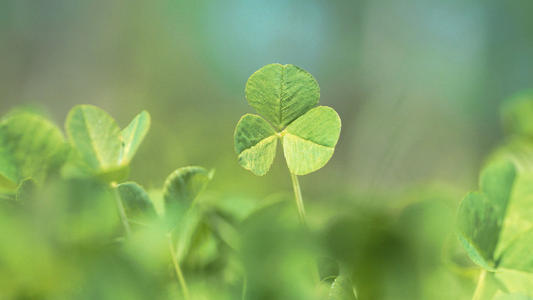 Ů����ʲô���ֺ����������壬2021�������Ů������