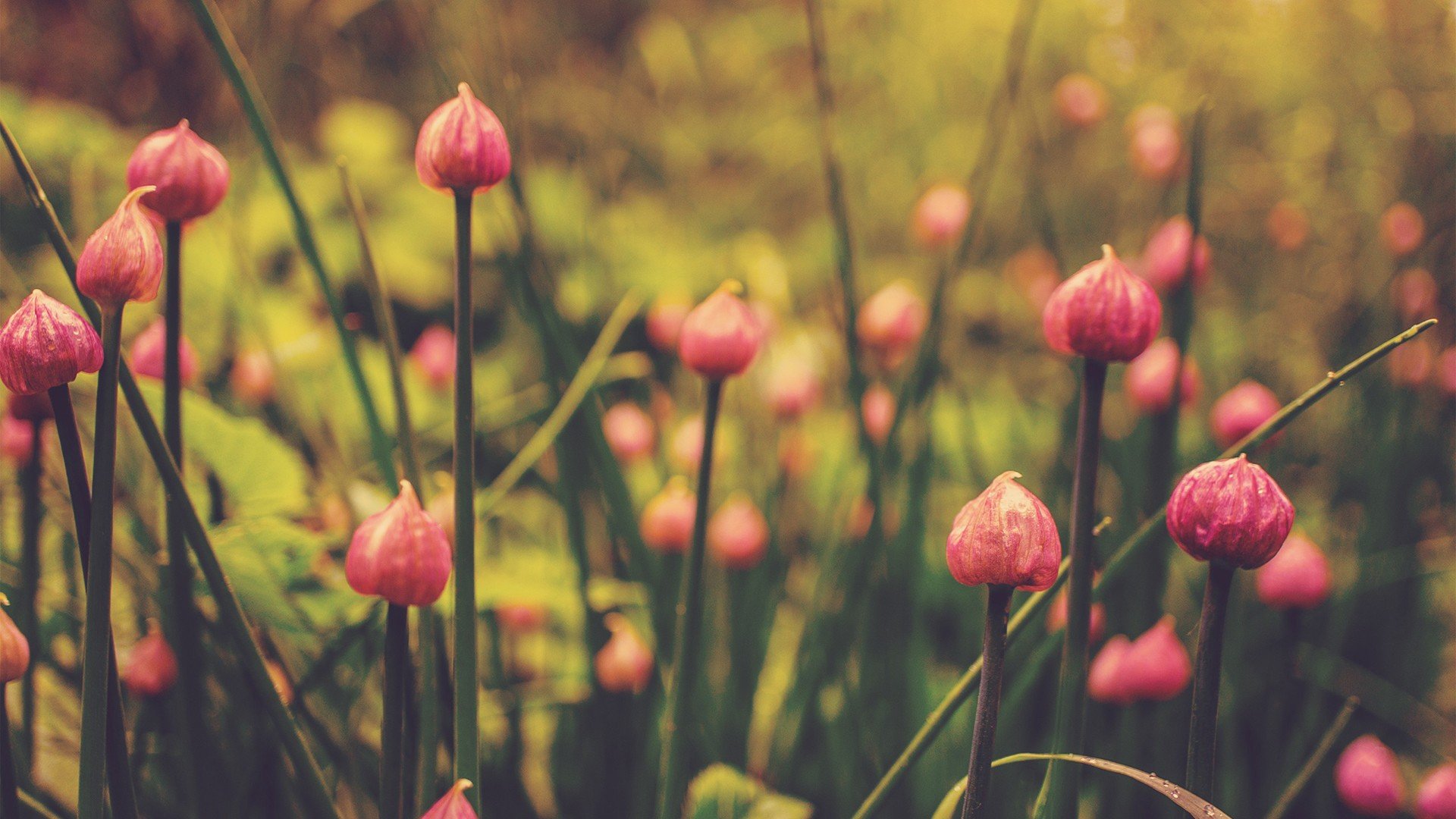 �հ׵�Ů�����ֹ������� �հ׵�Ů�����ָ߷ּ���