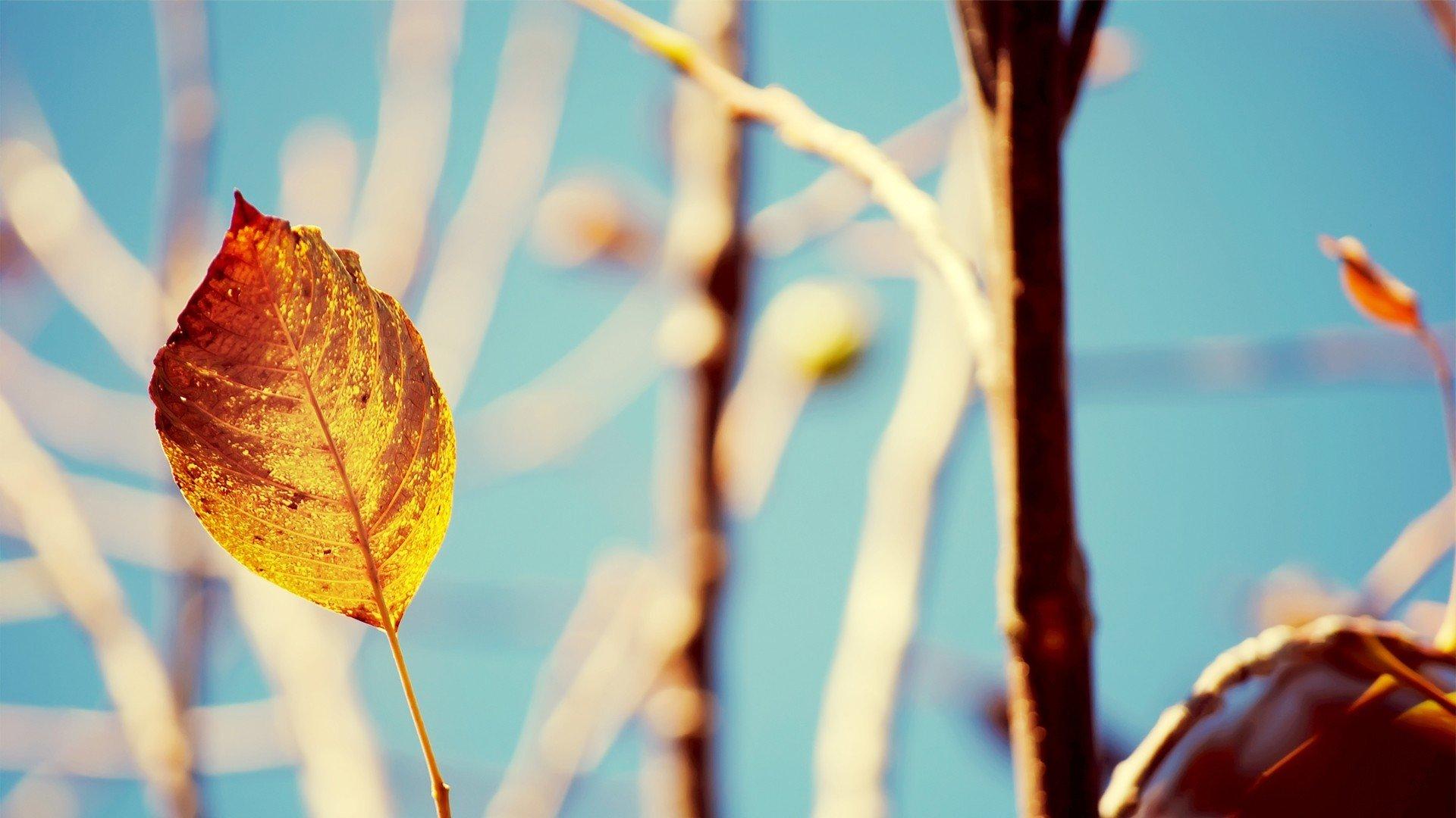 ���Ƶ�Ů�����ֽ�ʲô����� ���Ƶ�Ů������100��