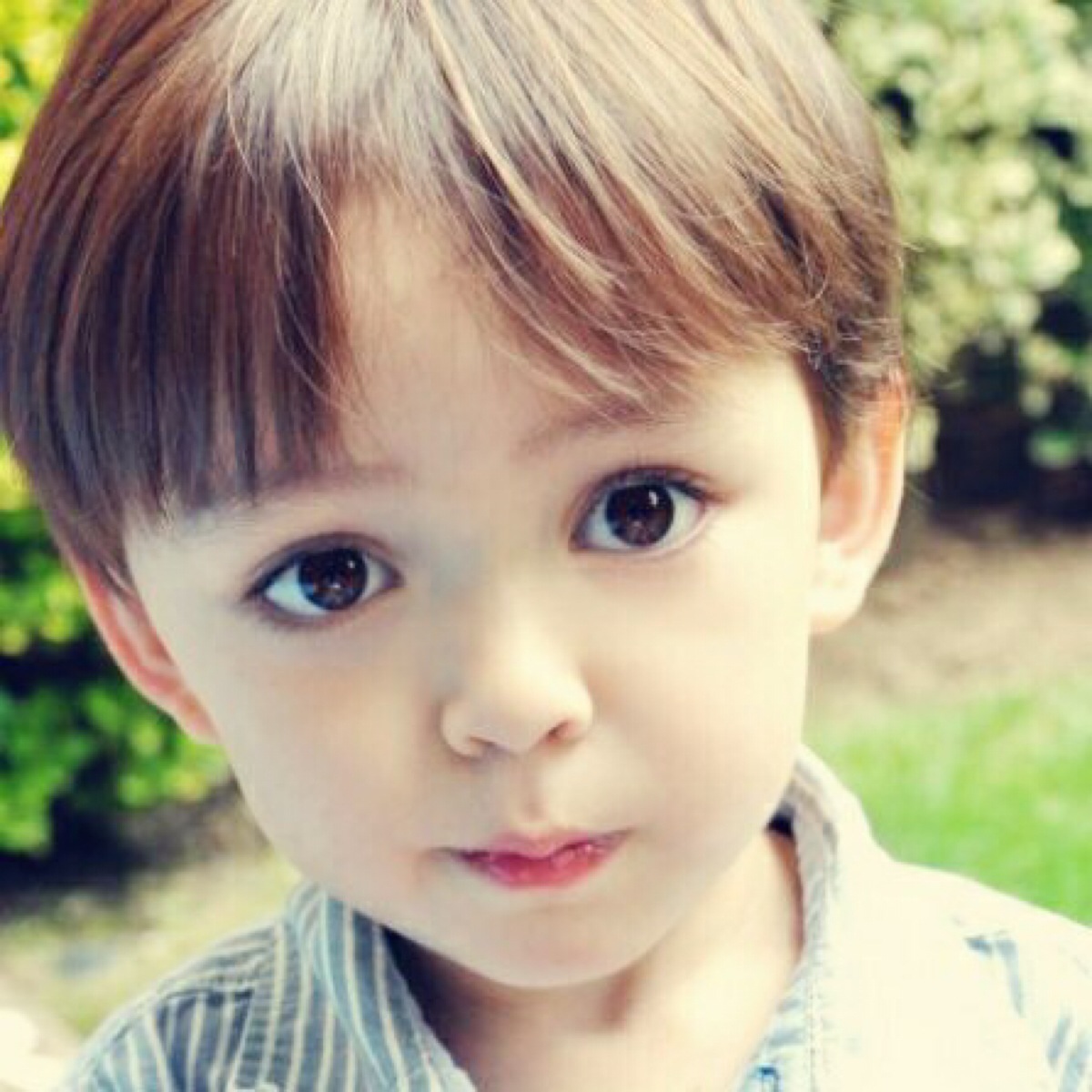 ��̺üǵ��к�Ӣ����������Щ���к�Ӣ������Ԣ����ܣ�