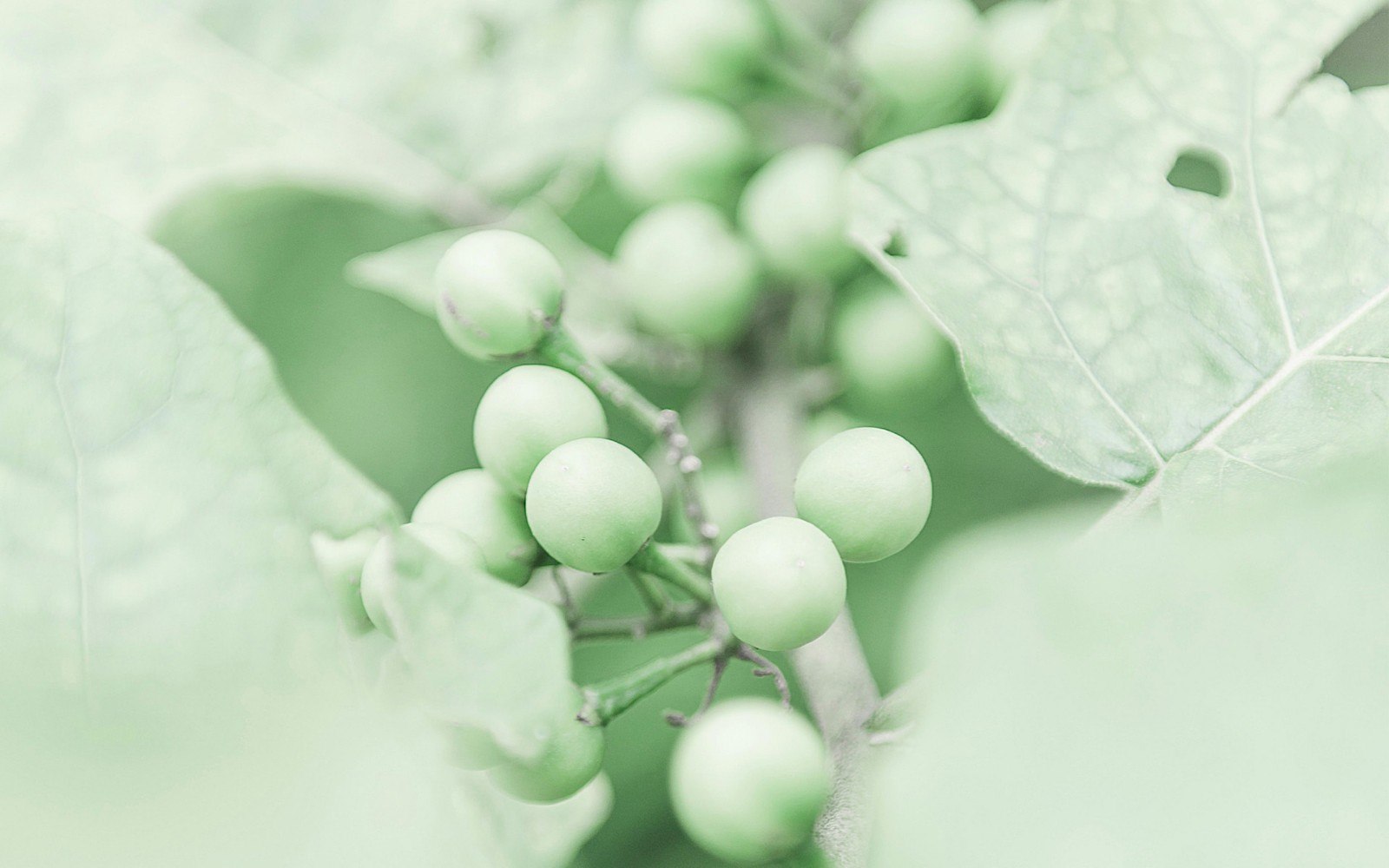 ��������Ů������������ Ů��������������ִ�ȫ