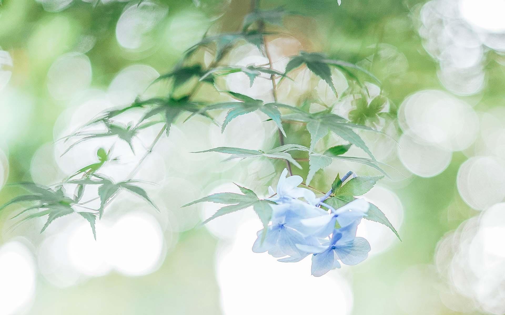 Ů���������ŵ����ֽ��� Ů����ӱ�к��������ִ�ȫ