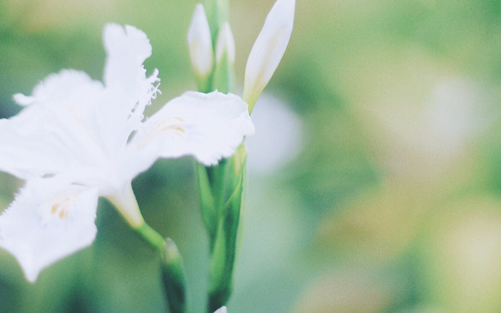 ��θ�Ů����������ַ������ɽ��� ��һ�޶��ĺ���Ů����